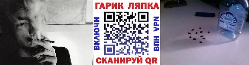 ГАШ AMNESIA HAZE  ссылка на мегу tor  Ачинск  наркошоп 