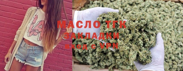 тгк Алексин