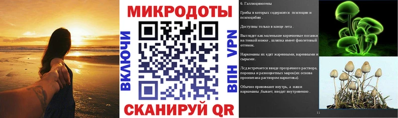 Псилоцибиновые грибы Psilocybe  где купить наркоту  shop Telegram  Ачинск 